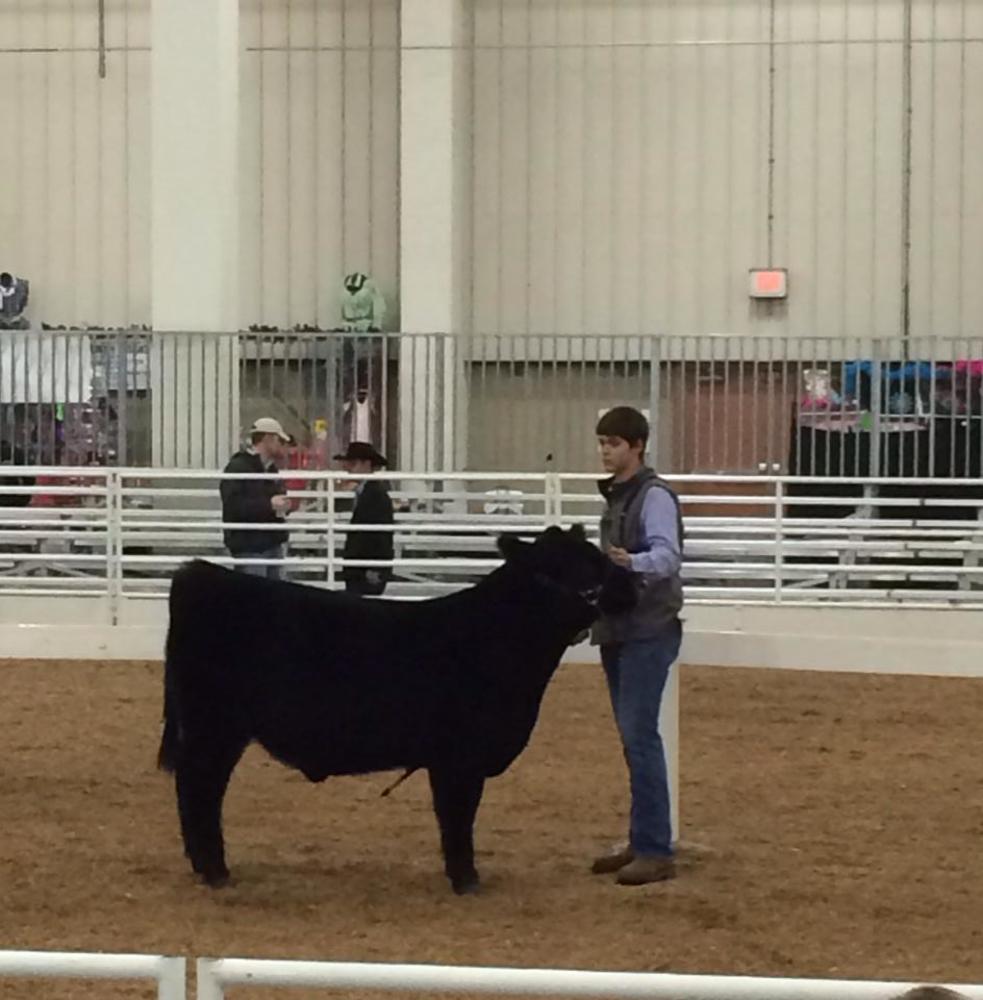 Meet your Posher, Logan